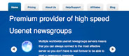 Newsgroup Direct